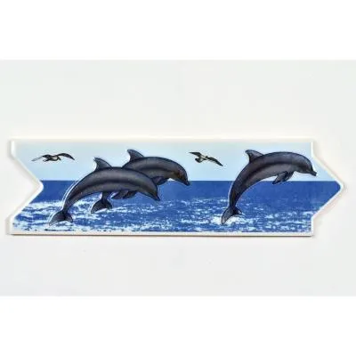 Listel delfín 8x25 cm