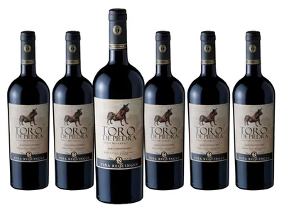 Pack 6 Vinos Toro de Piedra Syrah Cabernet Sauvignon 750ml