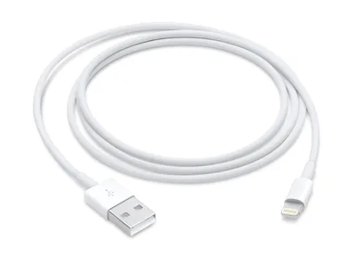 Cable Lightning a USB 1 m