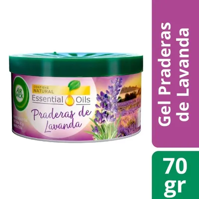Desodorante Ambiental Gel En Lata Praderas De Lavanda, 70 G