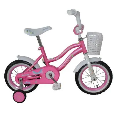 Bicicleta aro 12 fantasy pink.