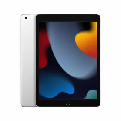 Tablet Ipad 10.2 9ªgen Wifi + Cellular 64 Gb Plata