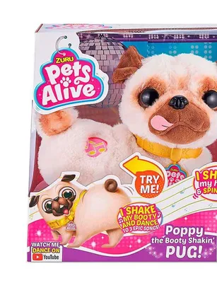 Perro Pug Bailarin Pets Alive
